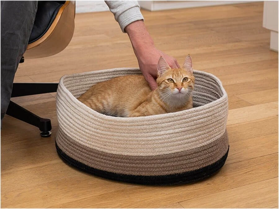 Fantail Panier Berber Caramel 45 Cm - Destockage 4 Fantail Panier Berber Caramel 45 Cm - Destockage – Image 2