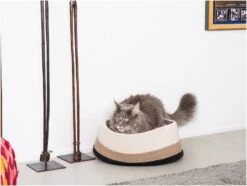 Fantail Panier Berber Caramel 45 Cm - Destockage 7 Fantail Panier Berber Caramel 45 Cm - Destockage -Fournitures Pour Animaux 5411468157918.sfr2