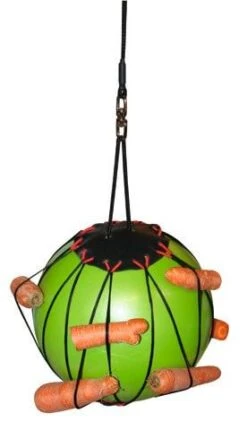 Balle à Jouer Thérapeutique Pour Chevaux -Fournitures Pour Animaux balle box 4