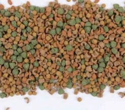 Care+ Cochon D'Inde 5 Kg -Fournitures Pour Animaux care cochon d inde 5 kg3