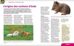 Livre - Cochons D'Inde -Fournitures Pour Animaux cochons d inde3
