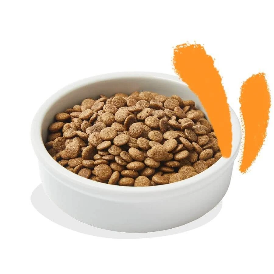 Edgard & Cooper Poulet Chat 2 Kg 5 Edgard & Cooper Poulet Chat 2 Kg – Image 3