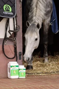 Ekyflex Arthro Evo 1.8 Kg 9 Ekyflex Arthro Evo 1.8 Kg -Fournitures Pour Animaux ekyflex arthro evo cheval box audevard 1 1