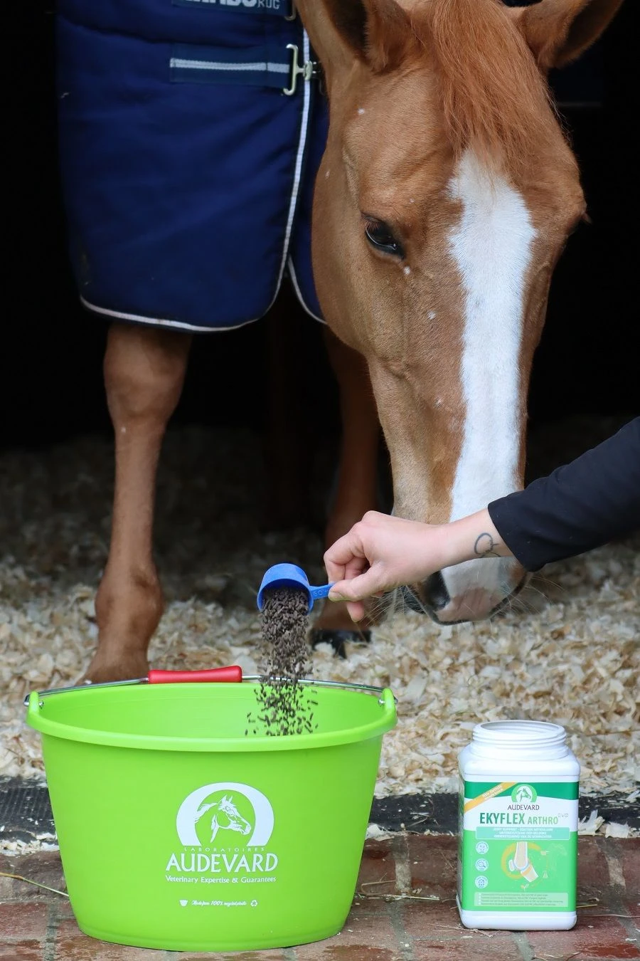 Ekyflex Arthro Evo 1.8 Kg 5 Ekyflex Arthro Evo 1.8 Kg – Image 3