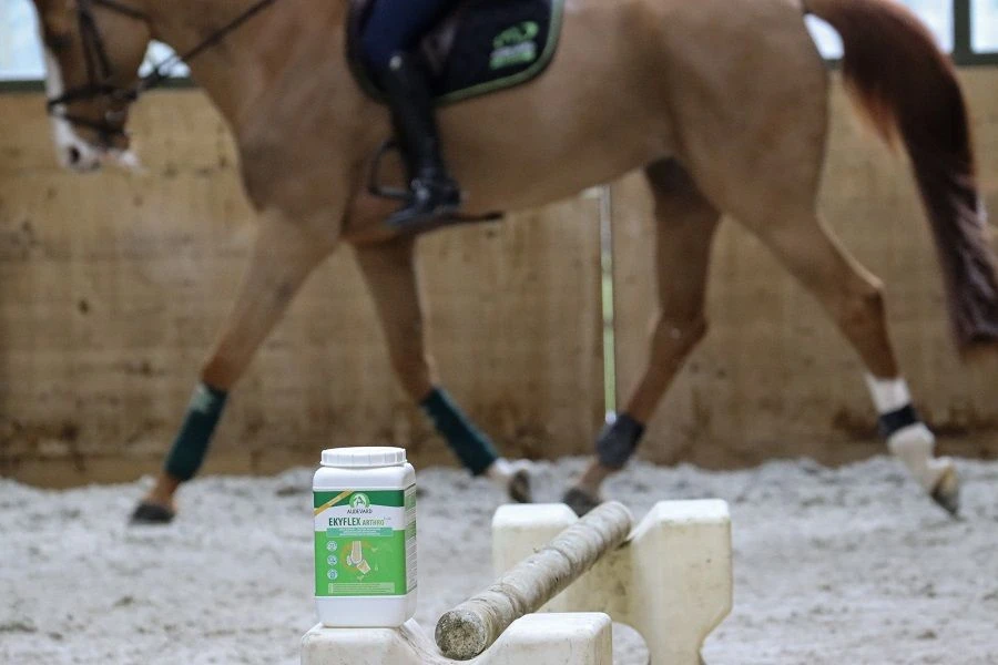 Ekyflex Arthro Evo 1.8 Kg 4 Ekyflex Arthro Evo 1.8 Kg – Image 2