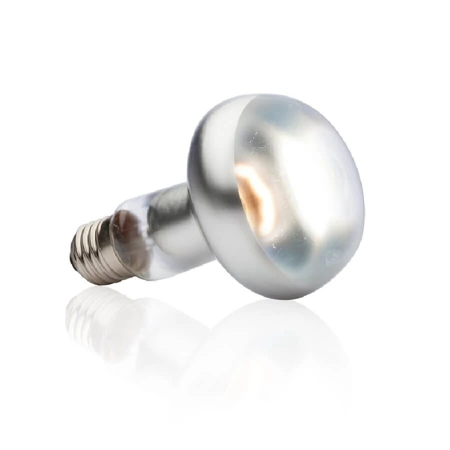 Exo Terra Lampe Intense à Vis Pour Terrarium 50 W 4 Exo Terra Lampe Intense à Vis Pour Terrarium 50 W – Image 2