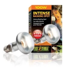 Exo Terra Lampe Intense à Vis Pour Terrarium 100 W 7 Exo Terra Lampe Intense à Vis Pour Terrarium 100 W -Fournitures Pour Animaux exo terra lampe intense vis pour terrarium 100 w 2