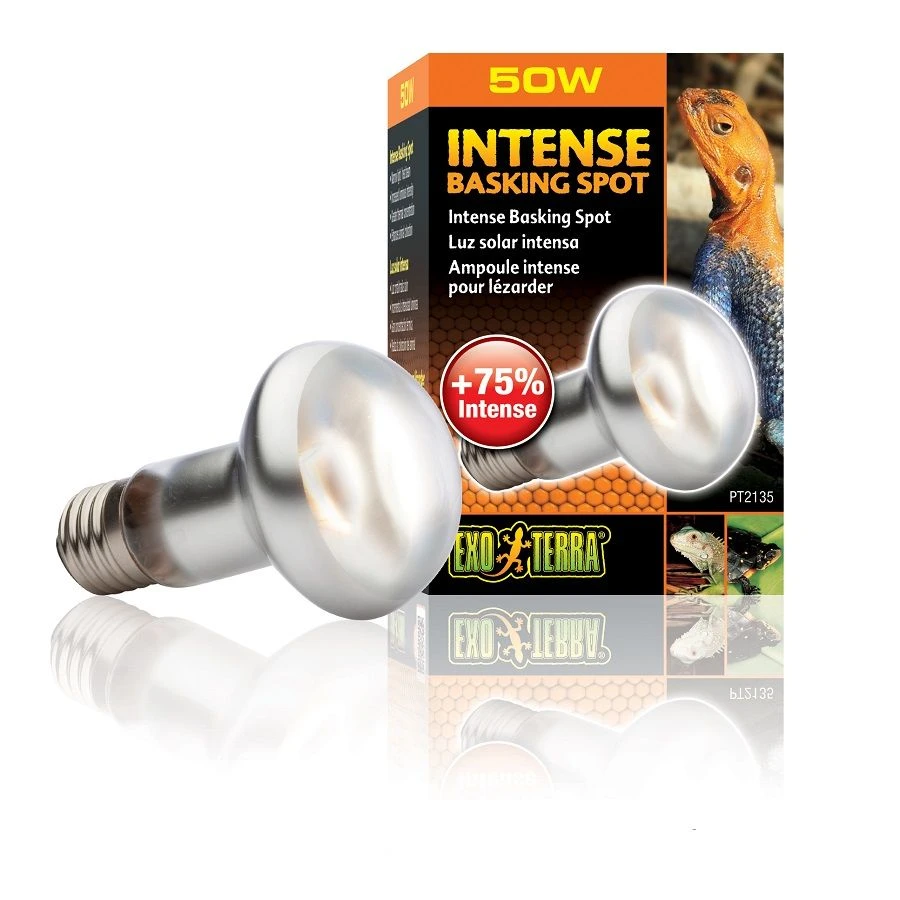 Exo Terra Lampe Intense à Vis Pour Terrarium 50 W 5 Exo Terra Lampe Intense à Vis Pour Terrarium 50 W – Image 3