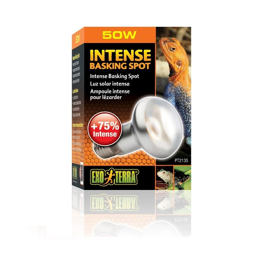 Exo Terra Lampe Intense à Vis Pour Terrarium 50 W 3 Exo Terra Lampe Intense à Vis Pour Terrarium 50 W
