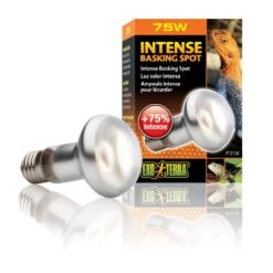 Exo Terra Lampe Intense à Vis Pour Terrarium 75 W -Fournitures Pour Animaux exo terra lampe intense vis pour terrarium 75 w