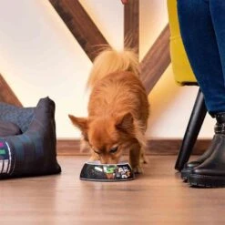 For Fan Pets Gamelle Star Wars M 7 For Fan Pets Gamelle Star Wars M -Fournitures Pour Animaux for fan pets gamelle star wars m 3