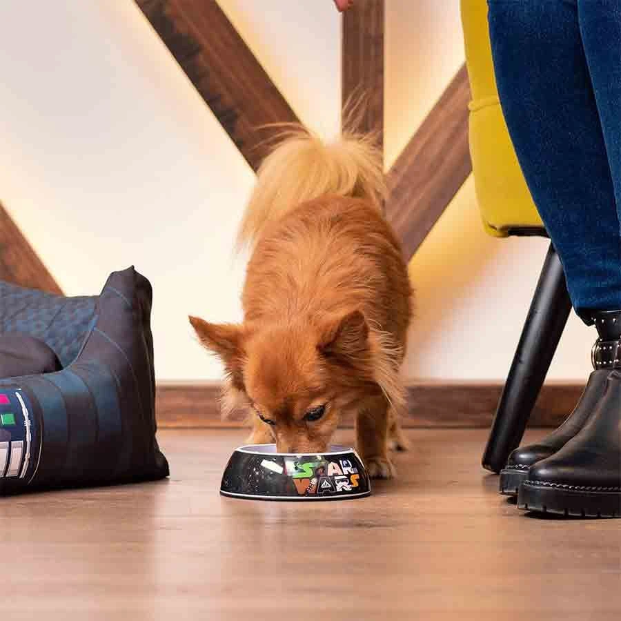 For Fan Pets Gamelle Star Wars M 5 For Fan Pets Gamelle Star Wars M – Image 3