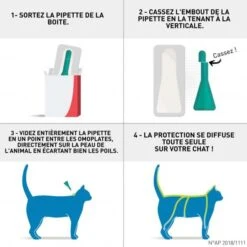 Frontline Chat Spot On 4 Pipettes -Fournitures Pour Animaux frontlinechattuto 1 1