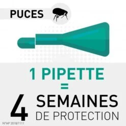 Frontline Chat Spot On 4 Pipettes -Fournitures Pour Animaux frontlinecombochatduree 1 1
