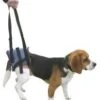 Harnais Handy Canis Pattes Arrières XL -Fournitures Pour Animaux handycanis arriere 1 1 1 1 1