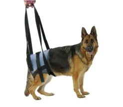 Harnais Handy Canis Pattes Arrières XL -Fournitures Pour Animaux handycanis arriere 2 1 1 1 1