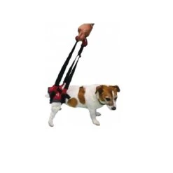 Harnais Handy Canis Pattes Arrières XL -Fournitures Pour Animaux harnais handy canis pattes arri res 4