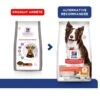 Hill's Science Plan VetEssentials Canine Healthy Digestive Biome Medium 10 Kg -Fournitures Pour Animaux hill s science plan vetessentials canine healthy digestive biome medium 10 kg 2