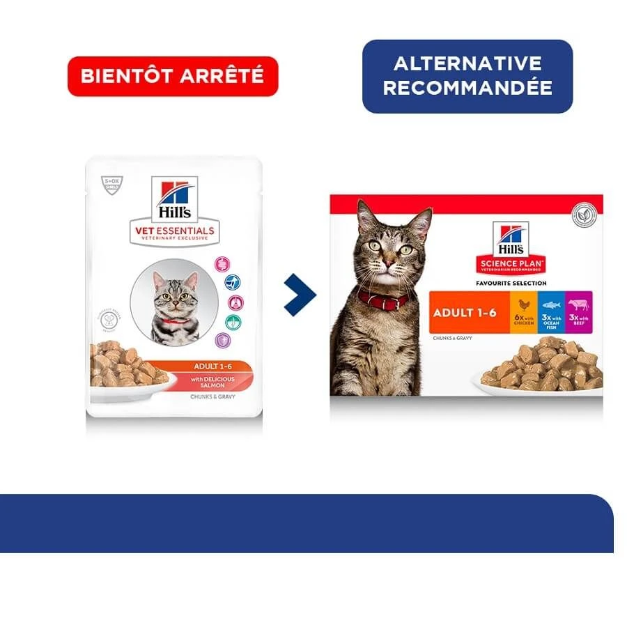 Hill's Science Plan VetEssentials Feline Adult Saumon 12 X 85 G 4 Hill's Science Plan VetEssentials Feline Adult Saumon 12 X 85 G – Image 2