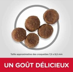 Hill's Science Plan Hill's Science Plan Canine Puppy Medium Agneau & Riz 14 Kg 6 Hill's Science Plan Hill's Science Plan Canine Puppy Medium Agneau & Riz 14 Kg -Fournitures Pour Animaux hill s science plan canine puppy medium agneau riz 14 kg2