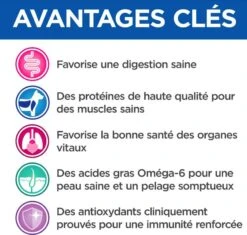 Hill's Science Plan VetEssentials Feline Adult Saumon 12 X 85 G 9 Hill's Science Plan VetEssentials Feline Adult Saumon 12 X 85 G -Fournitures Pour Animaux hill s vetessentials feline adult saumon 12 x 85 g3