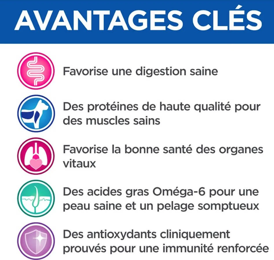 Hill's Science Plan VetEssentials Feline Adult Saumon 12 X 85 G 6 Hill's Science Plan VetEssentials Feline Adult Saumon 12 X 85 G – Image 4
