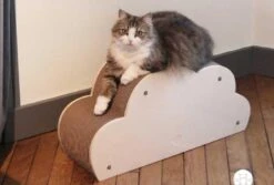 Homycat Griffoir Pour Chat Nuage - Destockage -Fournitures Pour Animaux homycat griffoir pour chat nuage3