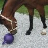 Balle Horsen Around Goût Pomme Pour Chevaux -Fournitures Pour Animaux horsenaround 5