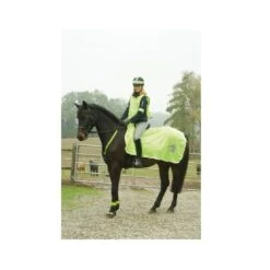 Kerbl Couverture Réfléchissante Cheval 135 Cm -Fournitures Pour Animaux kerbl couverture reflechissante cheval 135 cm 2