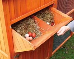 Poulailler Norway -Fournitures Pour Animaux pn4