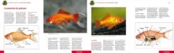 Livre - Poissons Rouges -Fournitures Pour Animaux poissons rouges3