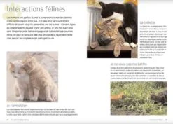Livre - Pourquoi Mon Chat Fait-il ça ? -Fournitures Pour Animaux pourquoi mon chat fait il c a 3