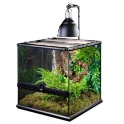 Exo Terra Support Pour Dôme D'éclairage -Fournitures Pour Animaux pt2223 light bracket in use 02