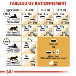 Royal Canin Maine Coon Adult 2 Kg 16 Royal Canin Maine Coon Adult 2 Kg -Fournitures Pour Animaux royal canin maine coon adult 7