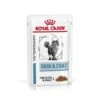 Royal Canin Vet Chat Skin & Coat 12 X 85 G -Fournitures Pour Animaux royal canin vet chat skin coat 12 x 85 g