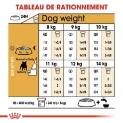 Royal Canin Bouledogue Français Adult 9 Kg -Fournitures Pour Animaux royal canin bouledogue fran ais adult rationnement 1 1