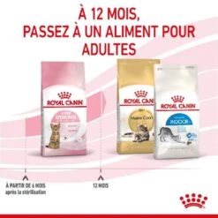 Royal Canin Feline Health Nutrition Kitten Sterilised 2 Kg -Fournitures Pour Animaux royal canin feline health nutrition kitten sterilised 5
