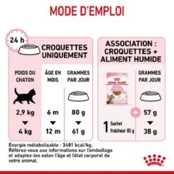 Royal Canin Feline Health Nutrition Kitten Sterilised 2 Kg -Fournitures Pour Animaux royal canin feline health nutrition kitten sterilised 7