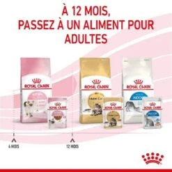 Royal Canin Kitten En Sauce 12 X 85 Grs -Fournitures Pour Animaux royal canin kitten en sauce 3