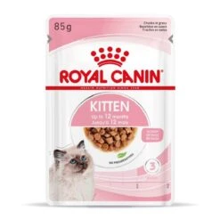 Royal Canin Kitten En Sauce 12 X 85 Grs -Fournitures Pour Animaux royal canin kitten en sauce 4
