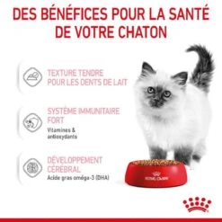 Royal Canin Kitten En Sauce 12 X 85 Grs -Fournitures Pour Animaux royal canin kitten en sauce 8