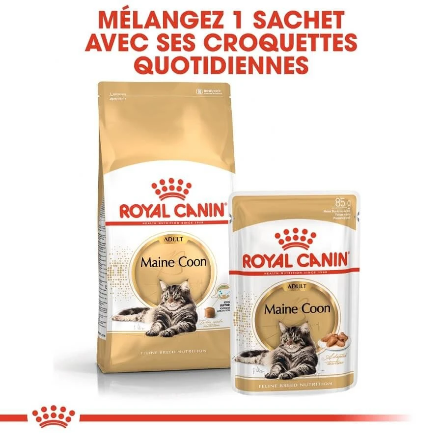 Royal Canin Maine Coon Adult 2 Kg 8 Royal Canin Maine Coon Adult 2 Kg – Image 6