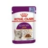 Royal Canin Sensory Taste En Gelée Pour Chat 12 X 85 G