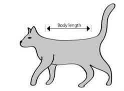 Buster Body Suit Chat XXS -Fournitures Pour Animaux sche m 1