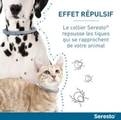 Seresto Collier Antiparasitaire Chat X2 -Fournitures Pour Animaux serestochatchien