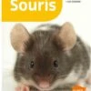 Livre - Souris -Fournitures Pour Animaux souris 1
