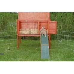 Trixie Rampe En Bois Pour Rongeurs 20 X 50 Cm -Fournitures Pour Animaux trixie rampe en bois pour rongeurs 20 x 50 cm