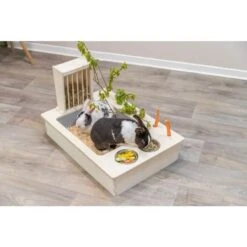 Trixie Station Mangeoire Pour Rongeurs 70 X 41 X 47 Cm 21 Trixie Station Mangeoire Pour Rongeurs 70 X 41 X 47 Cm -Fournitures Pour Animaux trixie station mangeoire pour rongeurs 70 x 41 x 47 cm 10