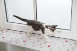 Trixie Noël Matelas Nivia Rebord Fenêtre Chat 90 Cm 7 Trixie Noël Matelas Nivia Rebord Fenêtre Chat 90 Cm -Fournitures Pour Animaux trixie xmas matelas nivia rebord fenetre chat 90 cm 3