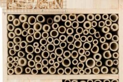 Trixie Hôtel Pour Insectes 29 × 49 × 16 Cm -Fournitures Pour Animaux trixie h tel pour insectes 29 49 16 cm3